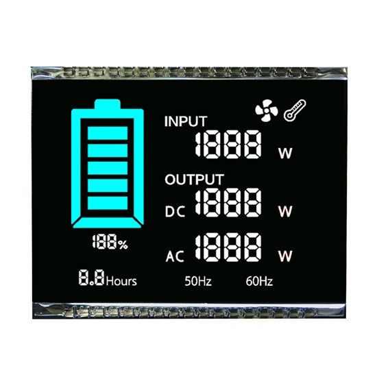 Custom Black Segment LCD Display White On Black