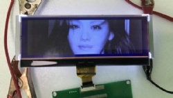 Black 212x64 Pixels LCD For Remote Control