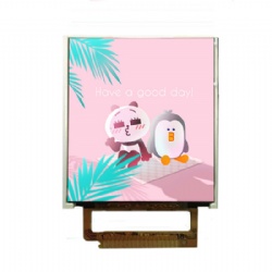 6.2 Inch 800x480 Dots TFT LCD